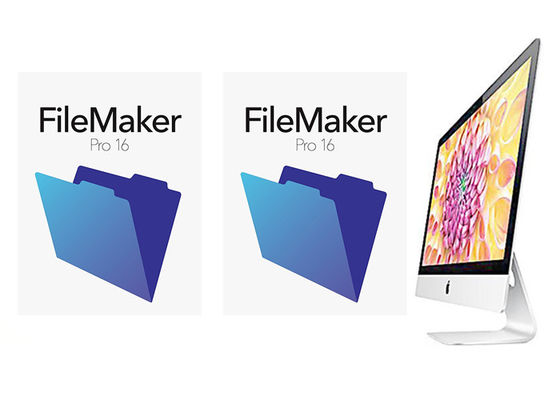 Porcellana Multi lingua di FileMaker del pro di vendita al dettaglio 16 pacchetto genuino della scatola per il MACKINTOSH fornitore