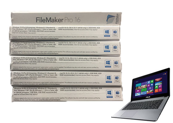 Porcellana Il software genuino pro 16 di FileMaker di originale di 100% online attiva Filemaker pro Windows 7 fornitore