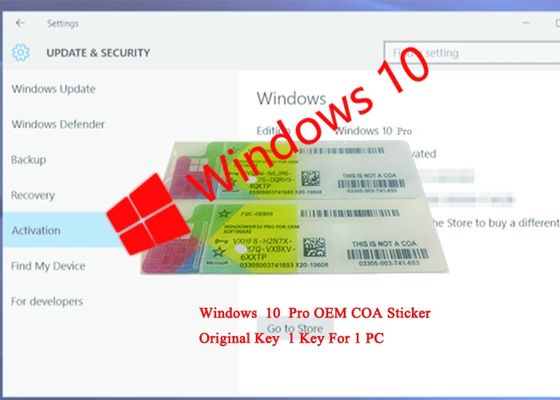Porcellana Autoadesivo della licenza del COA di certificazione del CE/chiave del prodotto professionista di Windows 10 fornitore